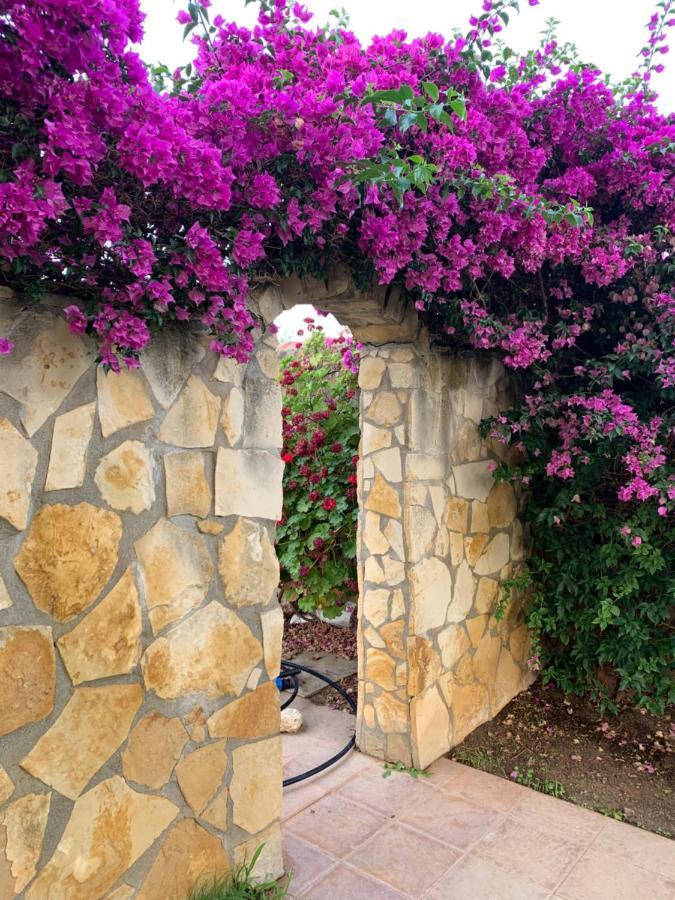 Villa Sunlight Sardegna Capitana Exteriör bild